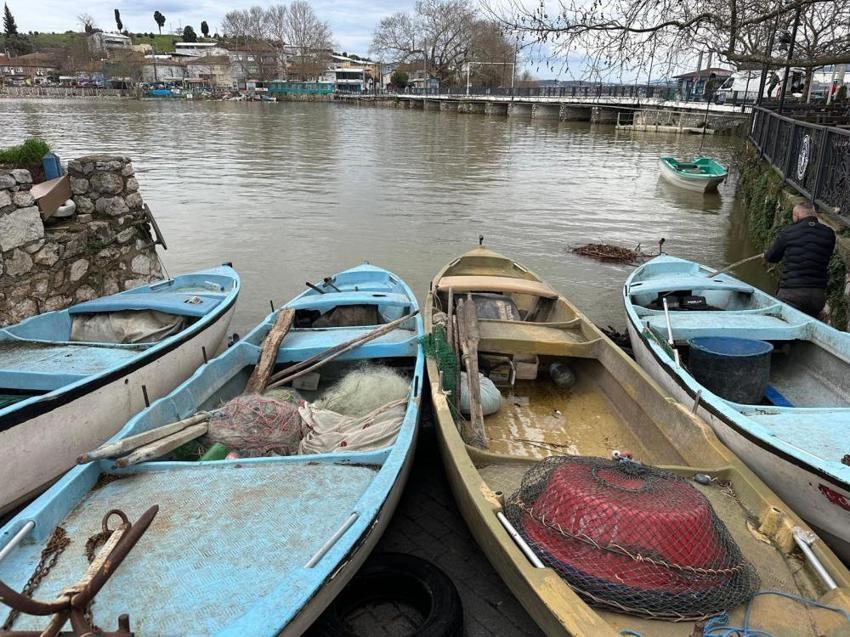 İsrail'in sazanı Bursa'da gelir kapısı oldu! Hızla çoğalıyor