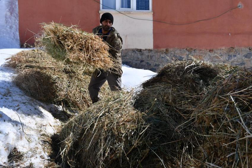 Şırnak'ta hayvancılık eski günlerini arıyor! Eskiden 200'ü bulan sayı şimdi 50'yi görmüyor: Üreticilerden destek talebi