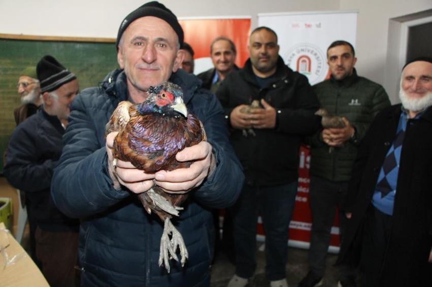 Fındık üreticisine müjde: Karadeniz'de kahverengi kokarca istilasında flaş tarih: 2030’da tamamen yok oluyor!