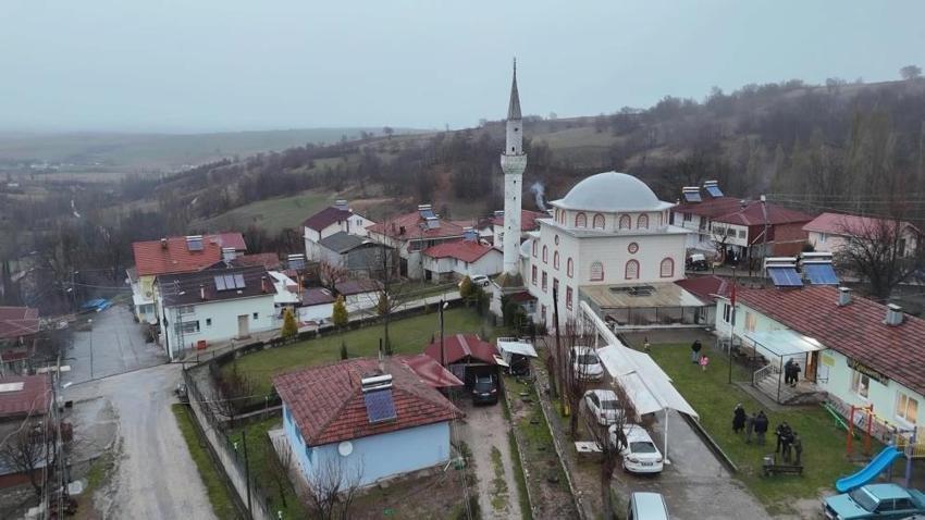 Fındık üreticisine müjde: Karadeniz'de kahverengi kokarca istilasında flaş tarih: 2030’da tamamen yok oluyor!