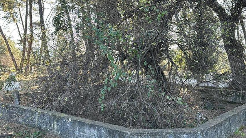 Muğla'nın kutsal taşı kayboldu! 'Çocuğu olmayan aileler buraya gelip dua ederdi'