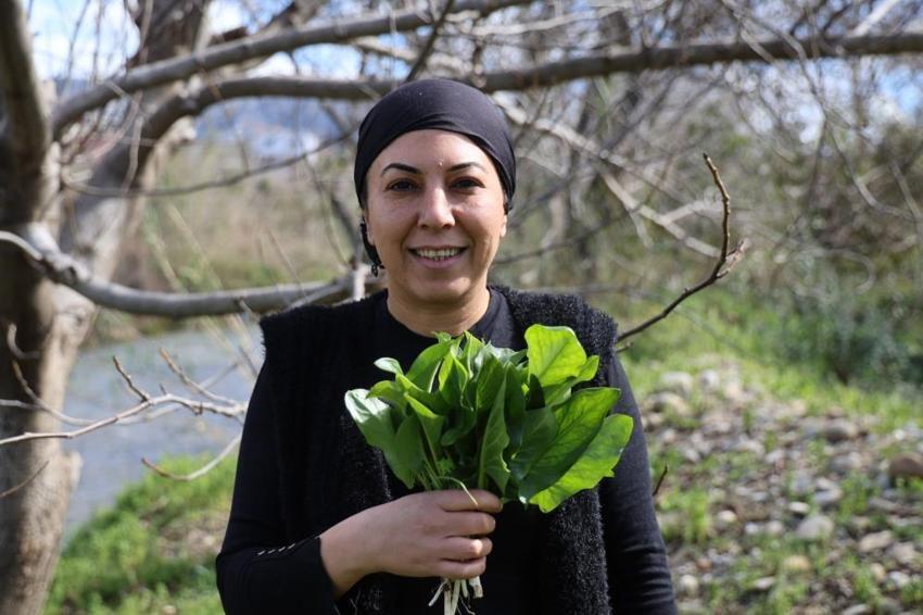 Zehirden gelen şifa! Çukurova’nın gizemli lezzeti: 4 saat kaynatıp ilaç niyetine içiyorlar!