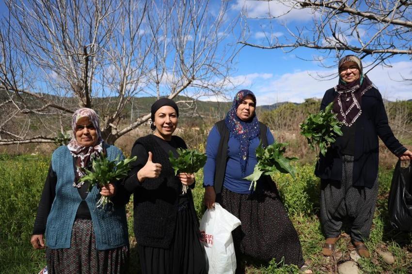 Zehirden gelen şifa! Çukurova’nın gizemli lezzeti: 4 saat kaynatıp ilaç niyetine içiyorlar!