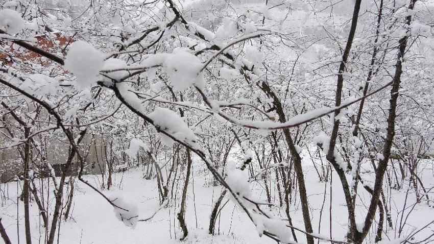 Üreticinin kabusuna bilimsel açıklama: Şu an risk yok, fayda var