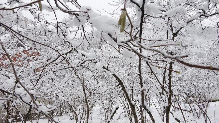 Üreticinin kabusuna bilimsel açıklama: Şu an risk yok, fayda var