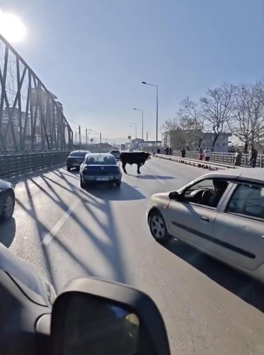 Bursa trafiğini birbirine kattı, Ankara yolunda metrelerce koştu