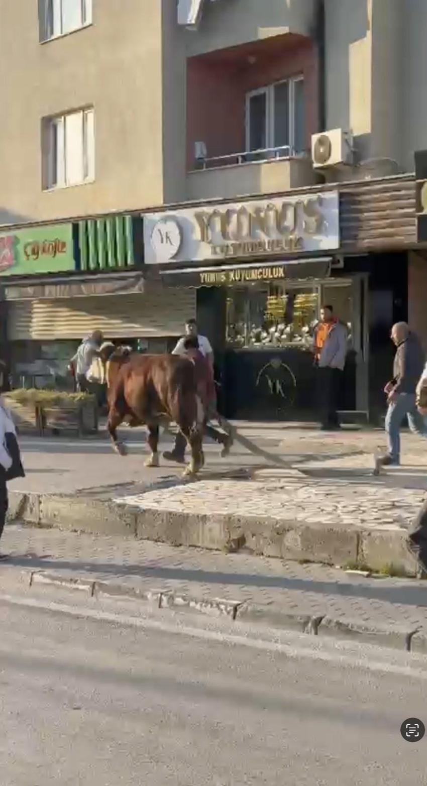 Bursa trafiğini birbirine kattı, Ankara yolunda metrelerce koştu