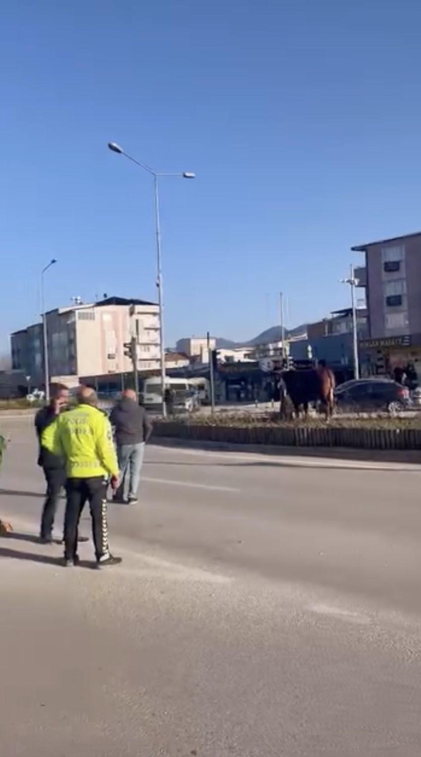 Bursa trafiğini birbirine kattı, Ankara yolunda metrelerce koştu
