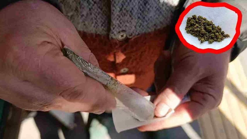 Bir tutamı 8 pakete eşdeğer! İlginç içimi var, Gaziantep'te kullanılıyor