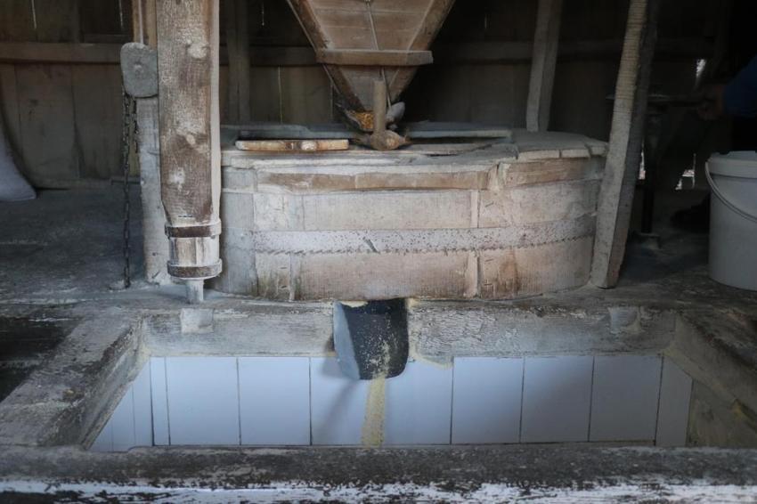 Sakarya'da 6 kuşaktır aynı aile çalıştırıyor, 1500 yıldır durmuyor! Para yerine unla ödeme yapılıyor