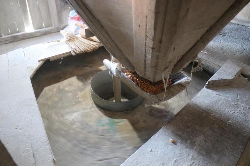 Sakarya'da 6 kuşaktır aynı aile çalıştırıyor, 1500 yıldır durmuyor! Para yerine unla ödeme yapılıyor