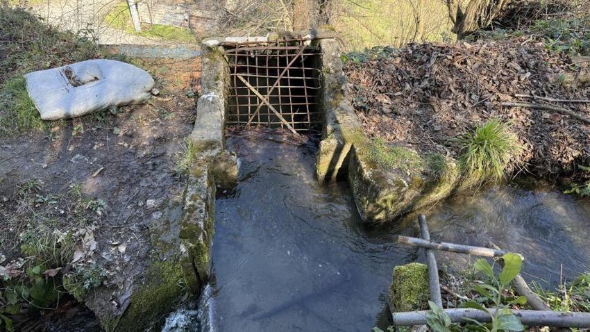 Sakarya'da 6 kuşaktır aynı aile çalıştırıyor, 1500 yıldır durmuyor! Para yerine unla ödeme yapılıyor