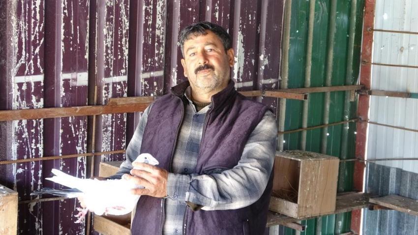 7 yaşında başladı, 52’sinde hala devam ediyor! 1 güvercinle başladı, 200 oldu!