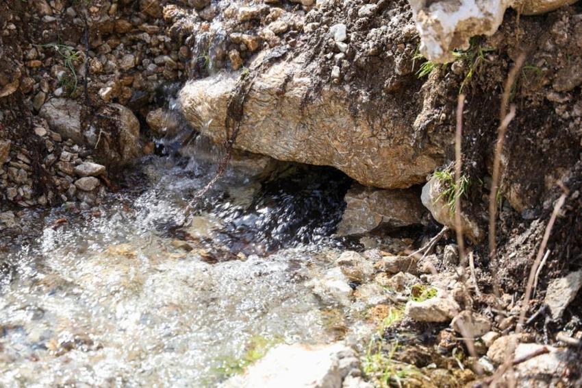 Denizli’de şaşırtan görüntü: Tarlalardan, yol kenarlarından bir anda fışkırmaya başladı! Mahalleli hayrete düştü