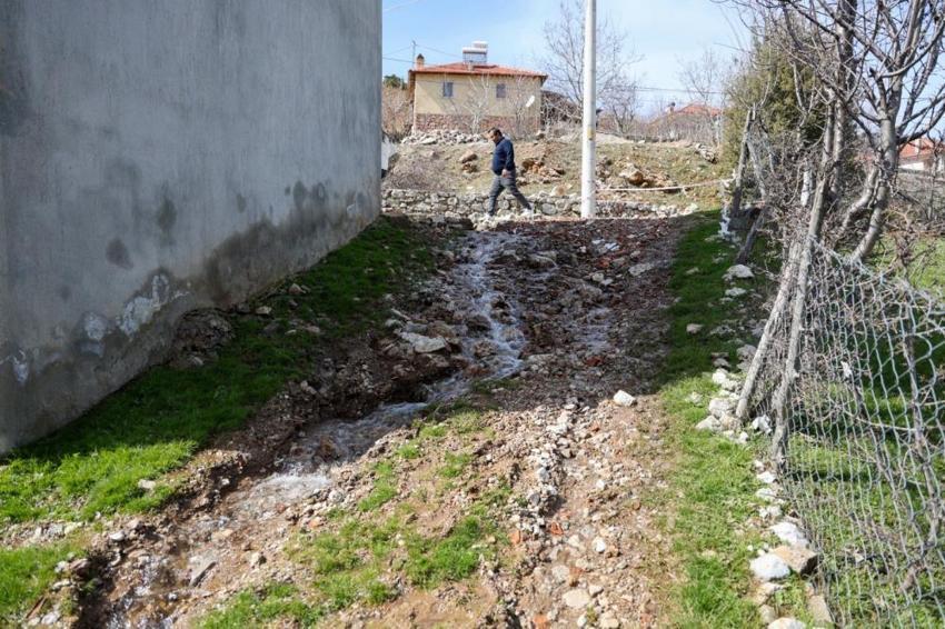 Denizli’de şaşırtan görüntü: Tarlalardan, yol kenarlarından bir anda fışkırmaya başladı! Mahalleli hayrete düştü