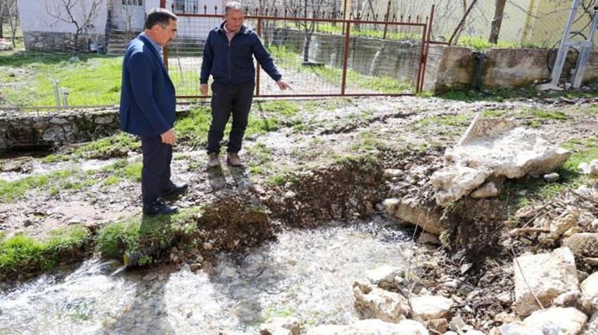 Denizli’de şaşırtan görüntü: Tarlalardan, yol kenarlarından bir anda fışkırmaya başladı! Mahalleli hayrete düştü