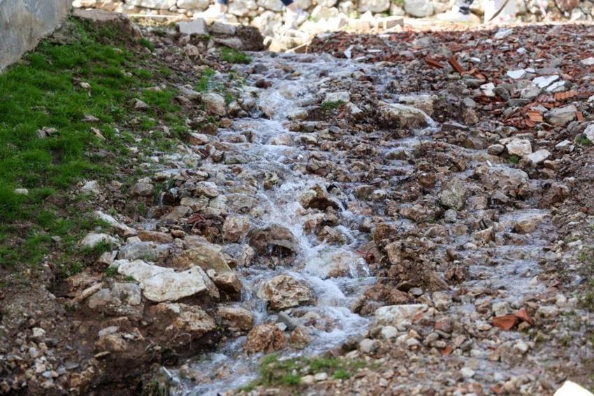 Denizli’de şaşırtan görüntü: Tarlalardan, yol kenarlarından bir anda fışkırmaya başladı! Mahalleli hayrete düştü