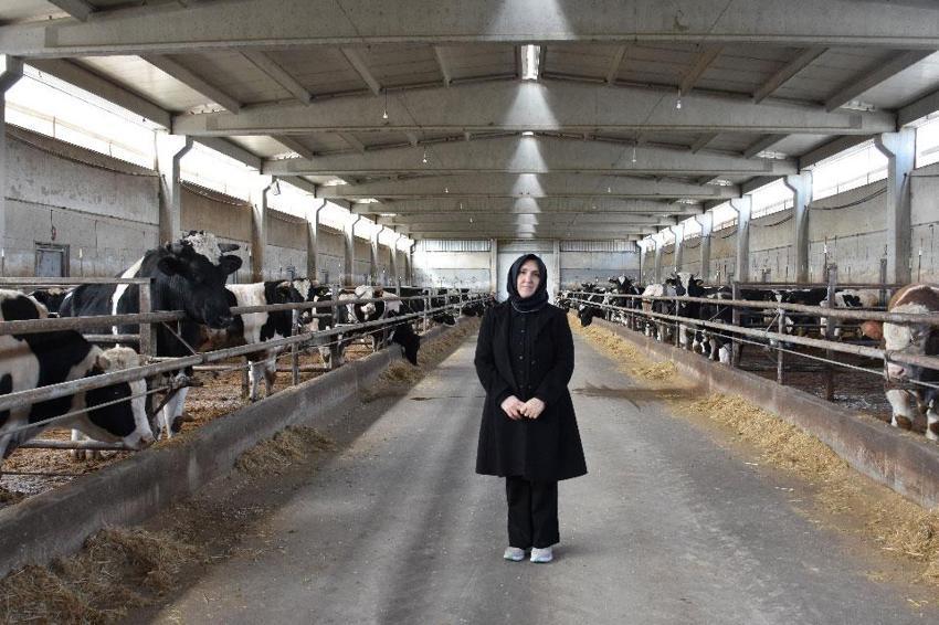 Devlet destek verdi ev hanımlığından patronluğa geçti: 900 hayvanın bulunduğu çiftliğin sahibi oldu
