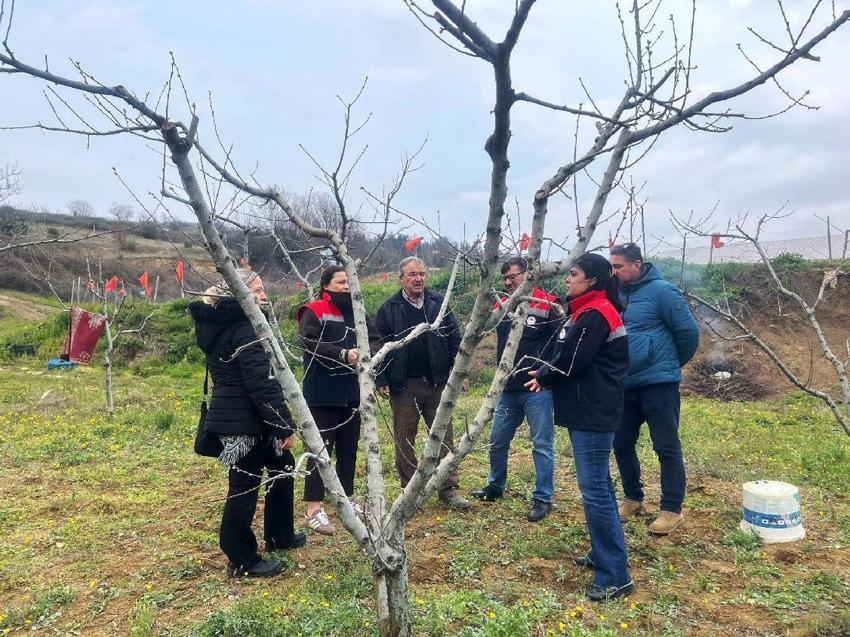 Samsun'da çiftçilere bordo bulamacı uyarısı