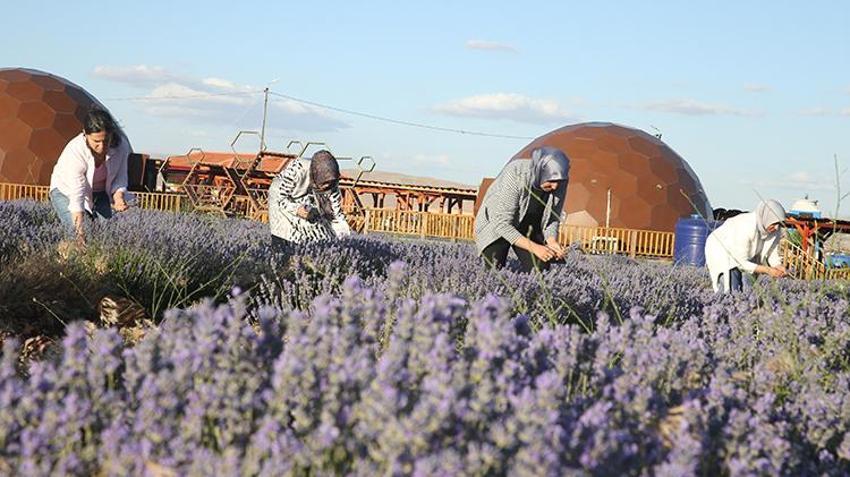 Türkiye'nin en büyüğü, sadece 7 kadın üretti! Tek sözüyle şehir harekete geçti, 81 il sıra bekliyor