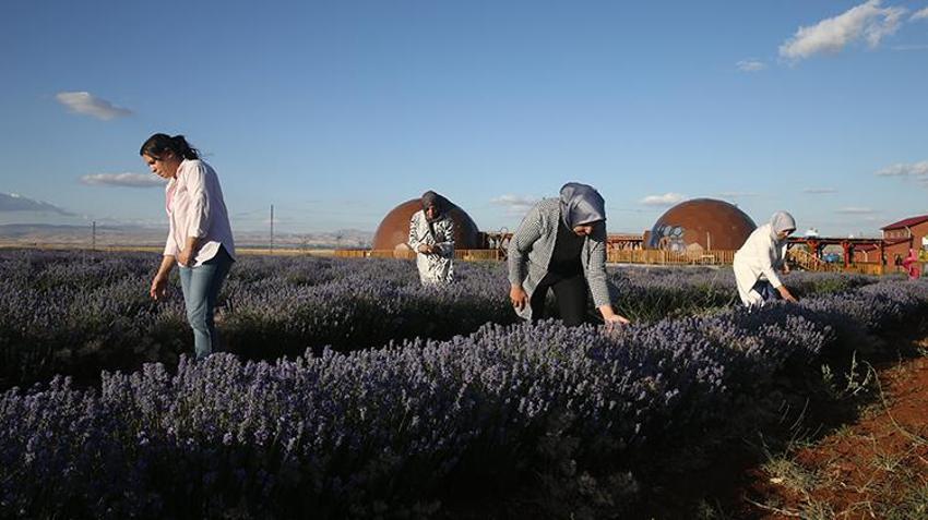 Türkiye'nin en büyüğü, sadece 7 kadın üretti! Tek sözüyle şehir harekete geçti, 81 il sıra bekliyor