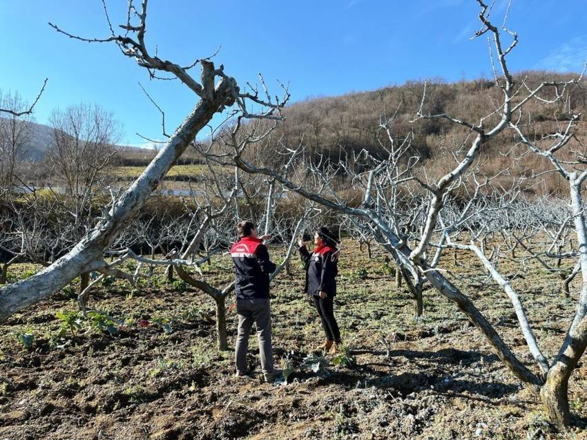 Samsun'da tehlike ortaya çıktı! 1 hafta süresi var, sakın yapmayın