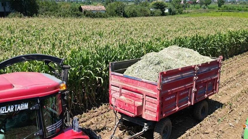 Bereket fışkırıyor! Samsun üretimde birinci oldu: Tam 381 bin tonla zirveye oturdu