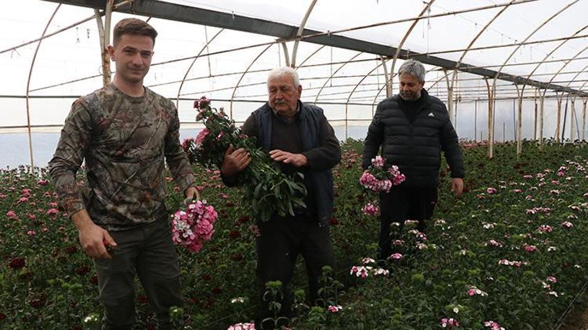 Yalova'da dört kuşaktır devam ediyor! 16 dönümlük arazide ailece çalışıp Türkiye'nin dört bir yana ulaştırıyorlar