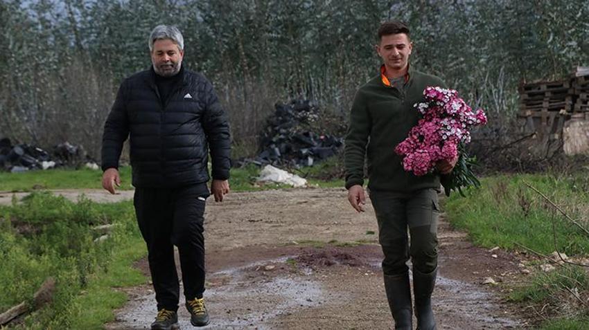Yalova'da dört kuşaktır devam ediyor! 16 dönümlük arazide ailece çalışıp Türkiye'nin dört bir yana ulaştırıyorlar