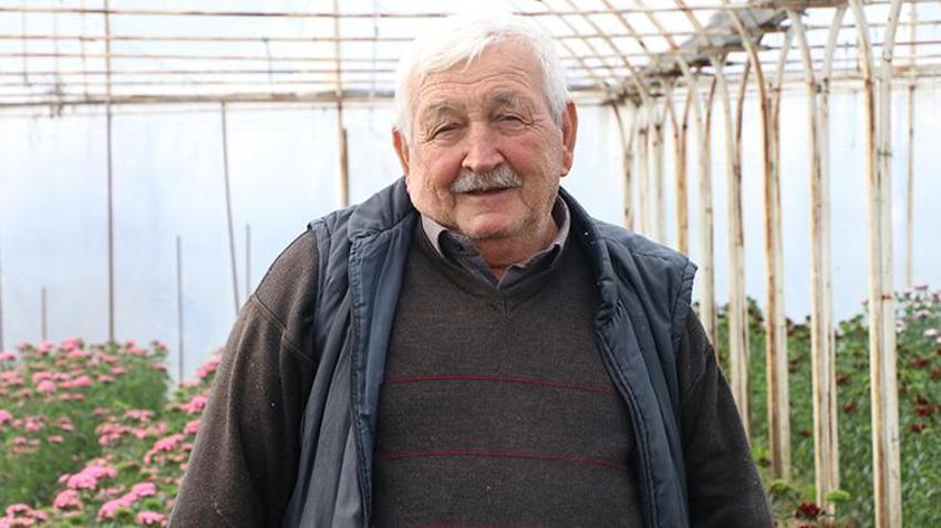 Yalova'da dört kuşaktır devam ediyor! 16 dönümlük arazide ailece çalışıp Türkiye'nin dört bir yana ulaştırıyorlar