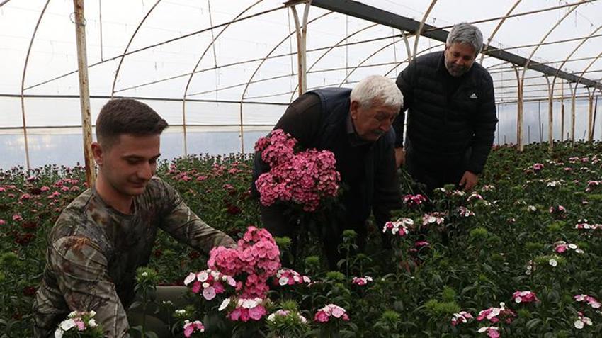 Yalova'da dört kuşaktır devam ediyor! 16 dönümlük arazide ailece çalışıp Türkiye'nin dört bir yana ulaştırıyorlar