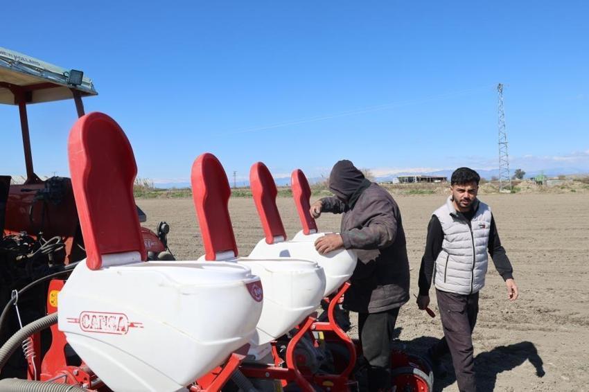 Çukurova’da kuraklık kabusu bitti: Mısır ve ayçiçeğinde sezon başladı