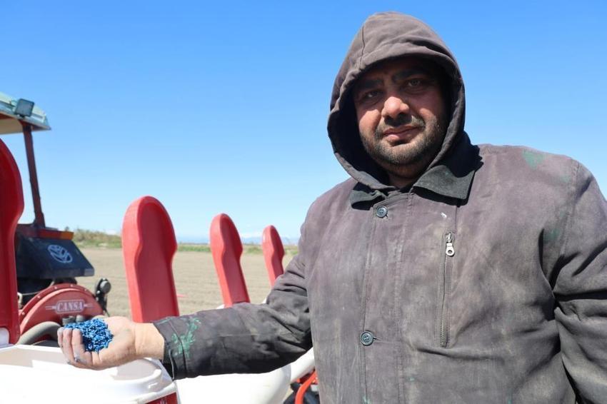 Çukurova’da kuraklık kabusu bitti: Mısır ve ayçiçeğinde sezon başladı