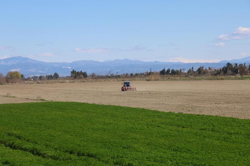 Çukurova’da kuraklık kabusu bitti: Mısır ve ayçiçeğinde sezon başladı