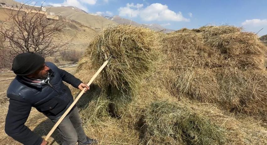 40 kilometre arayla iki mevsim: Yüksekova'da son 10 yılın en çetin kışı, Esendere'de bahar havası