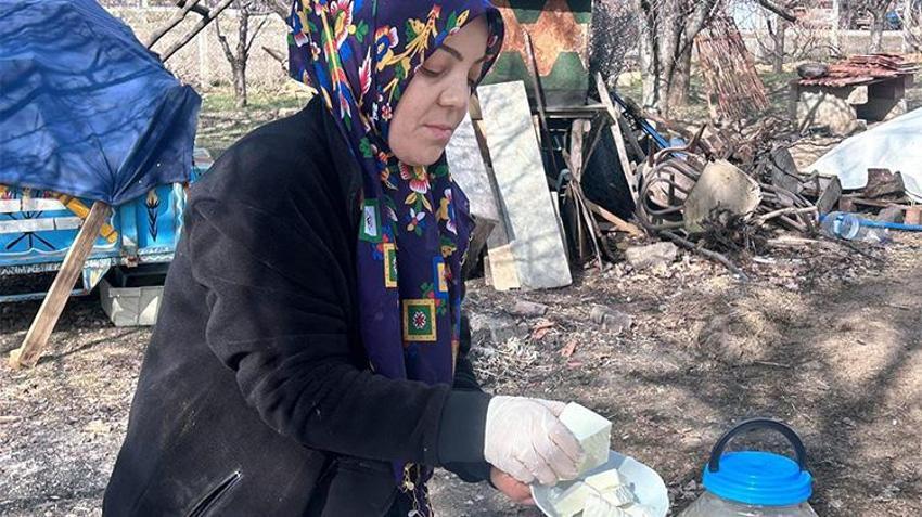 Şehir hayatından bıktı, 'yapamazsın' diyenlere inat vazgeçmedi! 3 koyunla başladı, şimdi çiftlik sahibi, siparişlere yetişemiyor