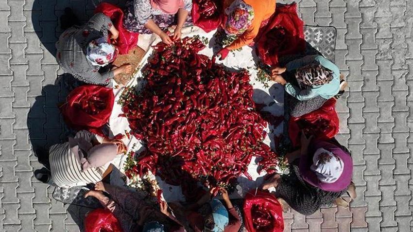 Adıyaman'da köylü kadınlar üreterek deprem yaralarını sardı! Depremzede kadınlara sahip çıktılar