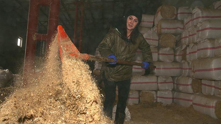 Kars'ta kadın girişimci hayvancılığa başladı! 47 hayvanı devlet verdi gerisini o artırdı