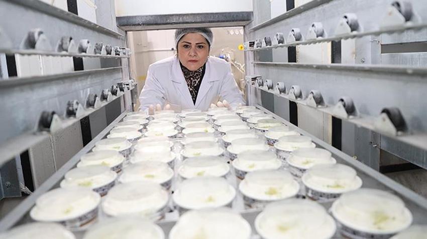 Denizli'de kadın girişimci pazarlamacı olarak başladı! Devlet desteğiyle fabrika açıp üretime başladı