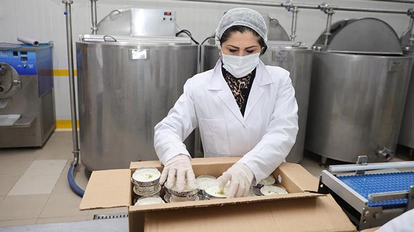 Denizli'de kadın girişimci pazarlamacı olarak başladı! Devlet desteğiyle fabrika açıp üretime başladı