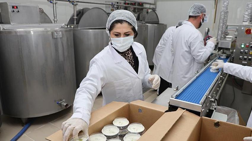 Denizli'de kadın girişimci pazarlamacı olarak başladı! Devlet desteğiyle fabrika açıp üretime başladı