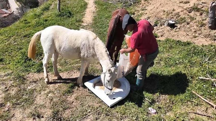 8 bin TL yevmiye veriyorlar ama çalışacak işçi bulamıyorlar! Zahmeti çok, işi yapan servet kazanıyor