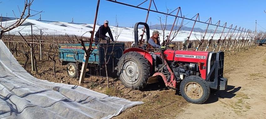 Sarıgöl Ovası'nda alarm verildi! Üreticinin korkulu rüyası Mart ayında kapıyı çaldı