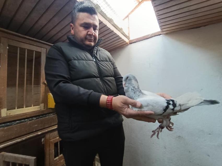 Hobi olarak yapıyordu, memuriyeti bırakıp bu işe başladı! Her birini otomobil fiyatına satıyor