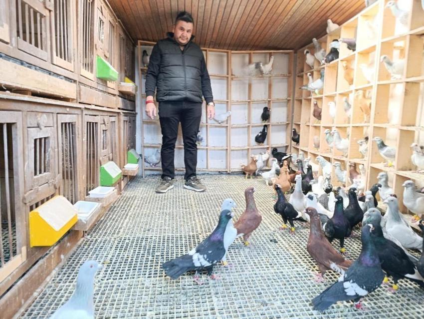 Hobi olarak yapıyordu, memuriyeti bırakıp bu işe başladı! Her birini otomobil fiyatına satıyor