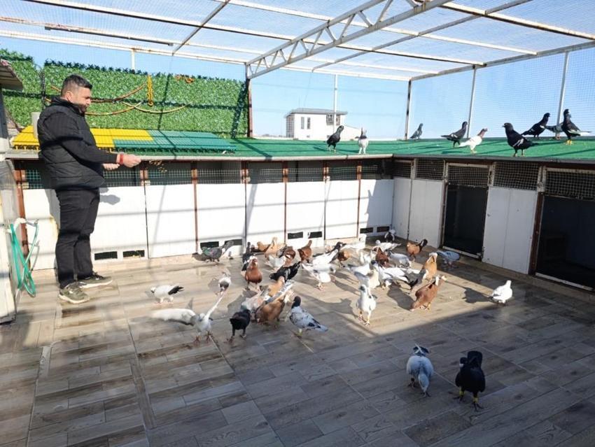 Hobi olarak yapıyordu, memuriyeti bırakıp bu işe başladı! Her birini otomobil fiyatına satıyor