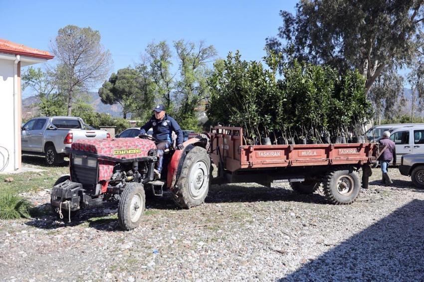 Muğla'da çiftçilere fidan desteği! Üretim yeniden başlıyor
