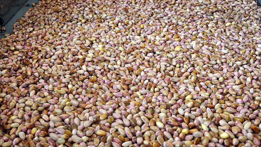 Şanlıurfa’da fıstık fiyatları şaşırttı: 2026 yılının Mart ayı fiyat listesi açıklandı