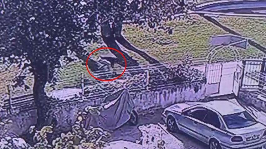Antalyada'ki korkunç cinayeti işleyen şahıs: Herhangi bir husumetim yoktu