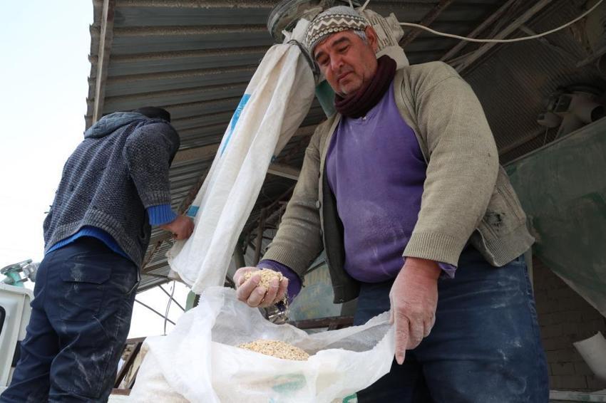Antalyalı çiftçinin yem maliyetleri yarı yarıya düştü! Çevre mahalleler o ilçeye akın ediyor